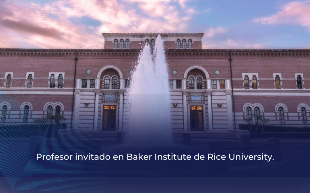 Profesor invitado en Baker Institute de Rice University.